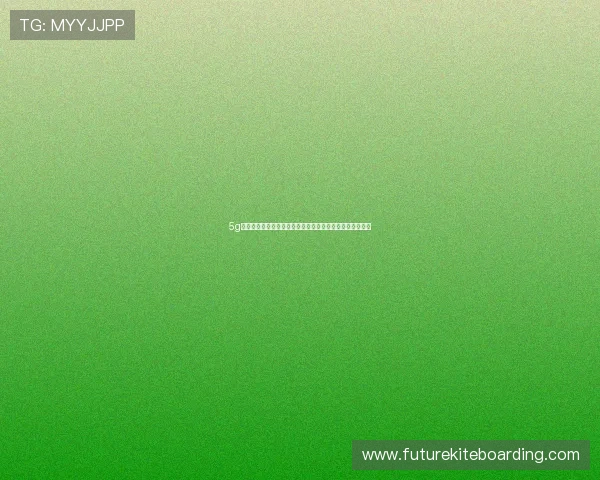 5g视讯官网助力世界杯直播体验升级实现高清流畅观看新体验